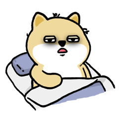 :qichuang: :qichuang: